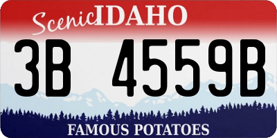 ID license plate 3B4559B