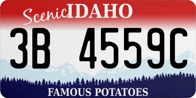 ID license plate 3B4559C