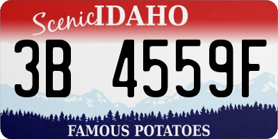 ID license plate 3B4559F