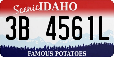 ID license plate 3B4561L