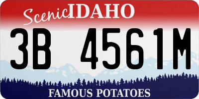 ID license plate 3B4561M
