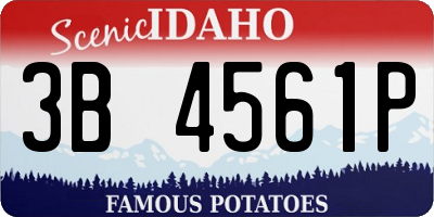 ID license plate 3B4561P