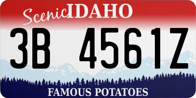 ID license plate 3B4561Z
