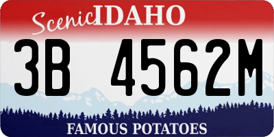 ID license plate 3B4562M