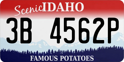 ID license plate 3B4562P