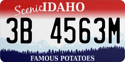 ID license plate 3B4563M
