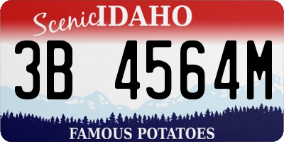 ID license plate 3B4564M