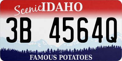 ID license plate 3B4564Q