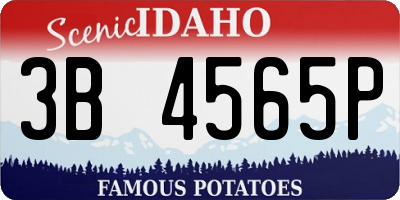 ID license plate 3B4565P