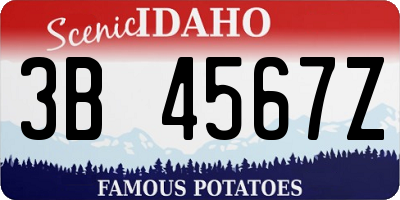 ID license plate 3B4567Z