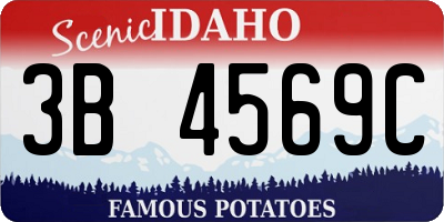 ID license plate 3B4569C