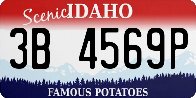 ID license plate 3B4569P