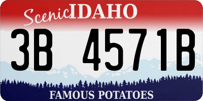 ID license plate 3B4571B