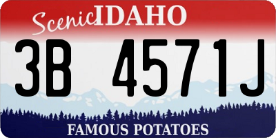 ID license plate 3B4571J
