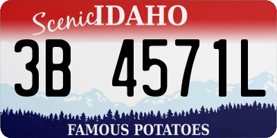 ID license plate 3B4571L