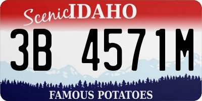 ID license plate 3B4571M