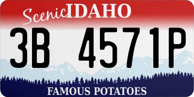 ID license plate 3B4571P