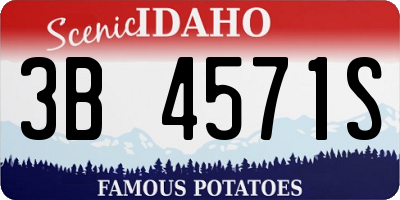 ID license plate 3B4571S