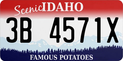 ID license plate 3B4571X