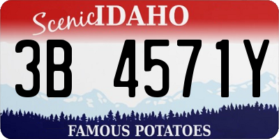 ID license plate 3B4571Y