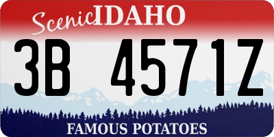 ID license plate 3B4571Z