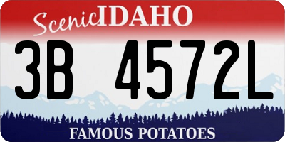 ID license plate 3B4572L