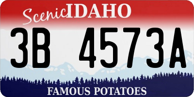ID license plate 3B4573A