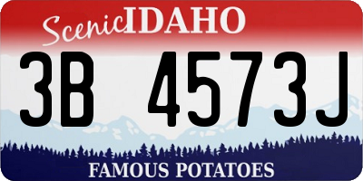 ID license plate 3B4573J