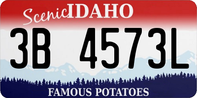 ID license plate 3B4573L