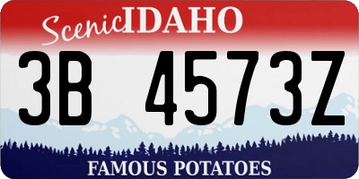 ID license plate 3B4573Z