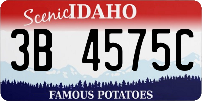 ID license plate 3B4575C