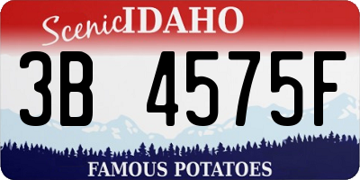 ID license plate 3B4575F