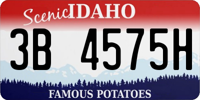 ID license plate 3B4575H