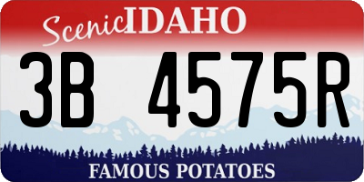 ID license plate 3B4575R