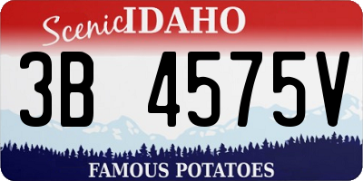 ID license plate 3B4575V