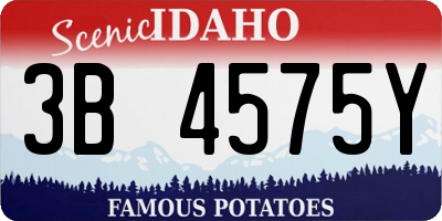 ID license plate 3B4575Y
