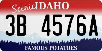 ID license plate 3B4576A