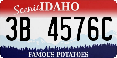 ID license plate 3B4576C