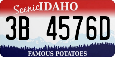 ID license plate 3B4576D