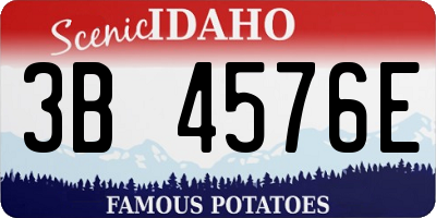 ID license plate 3B4576E