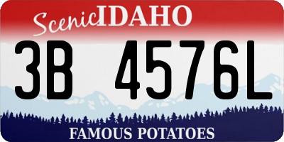 ID license plate 3B4576L