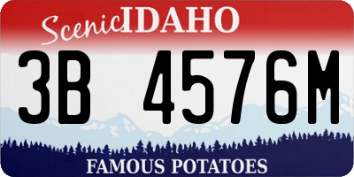 ID license plate 3B4576M