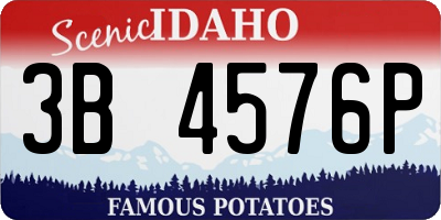 ID license plate 3B4576P