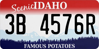 ID license plate 3B4576R