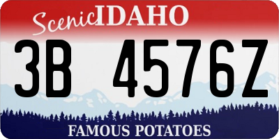 ID license plate 3B4576Z
