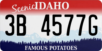 ID license plate 3B4577G