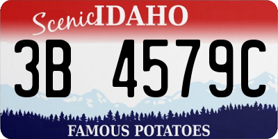 ID license plate 3B4579C