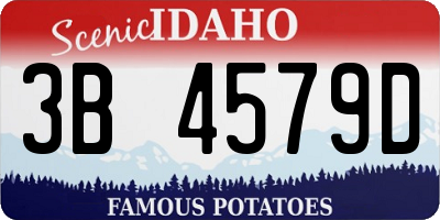ID license plate 3B4579D