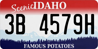 ID license plate 3B4579H