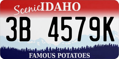 ID license plate 3B4579K